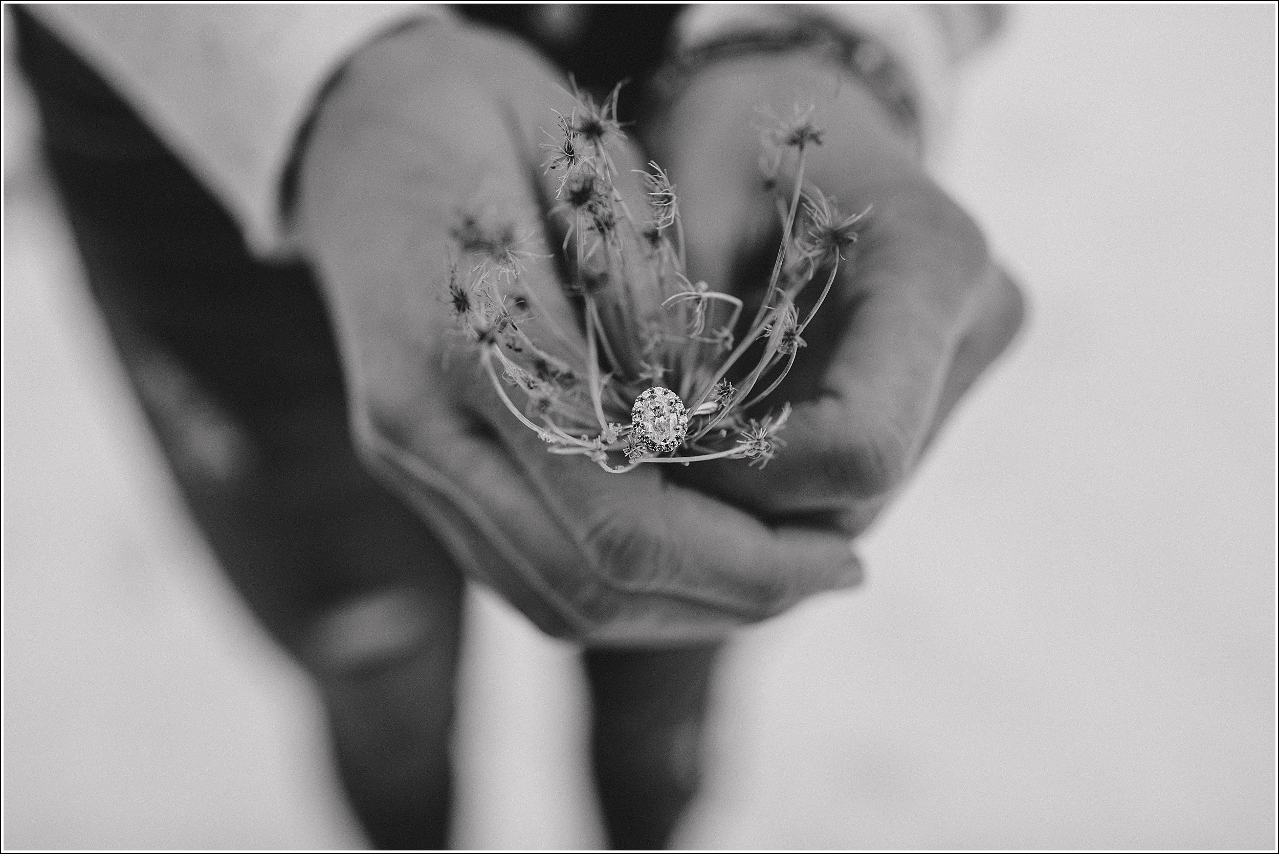 stunning black and white engagement ring shot in the snow she is holding a weed with her ring on it